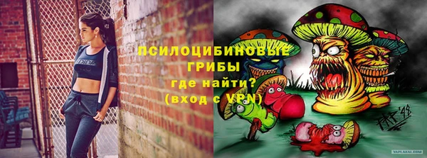 меф Вяземский