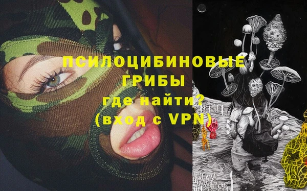 меф Вяземский