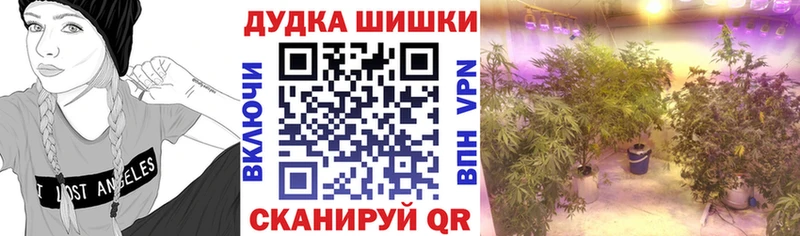 Бошки Шишки White Widow  МЕГА вход  Электроугли  сколько стоит 